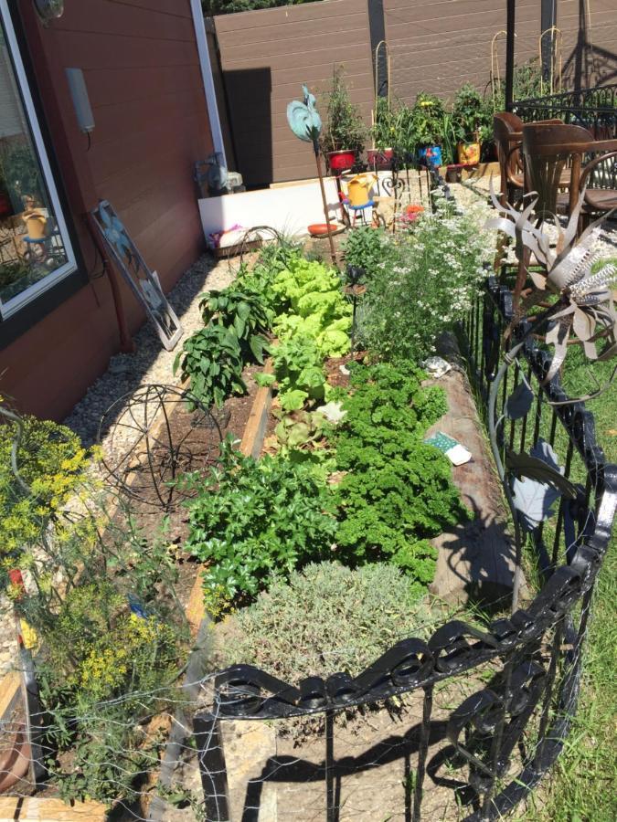 The Calgary Hub Hostel Style Home 외부 사진